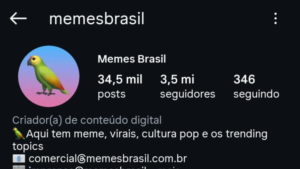 @memesbrasil